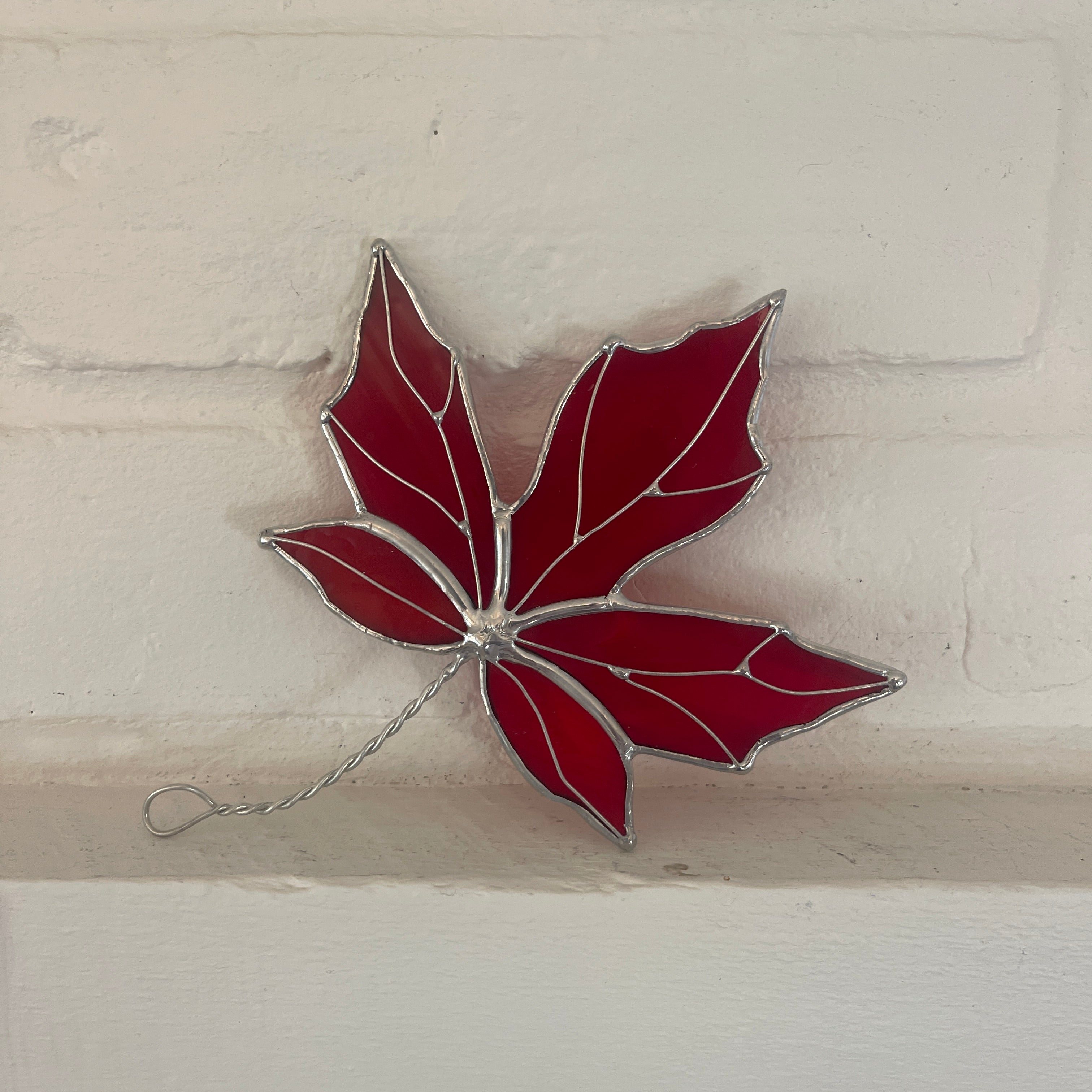 Maple Leaf-4