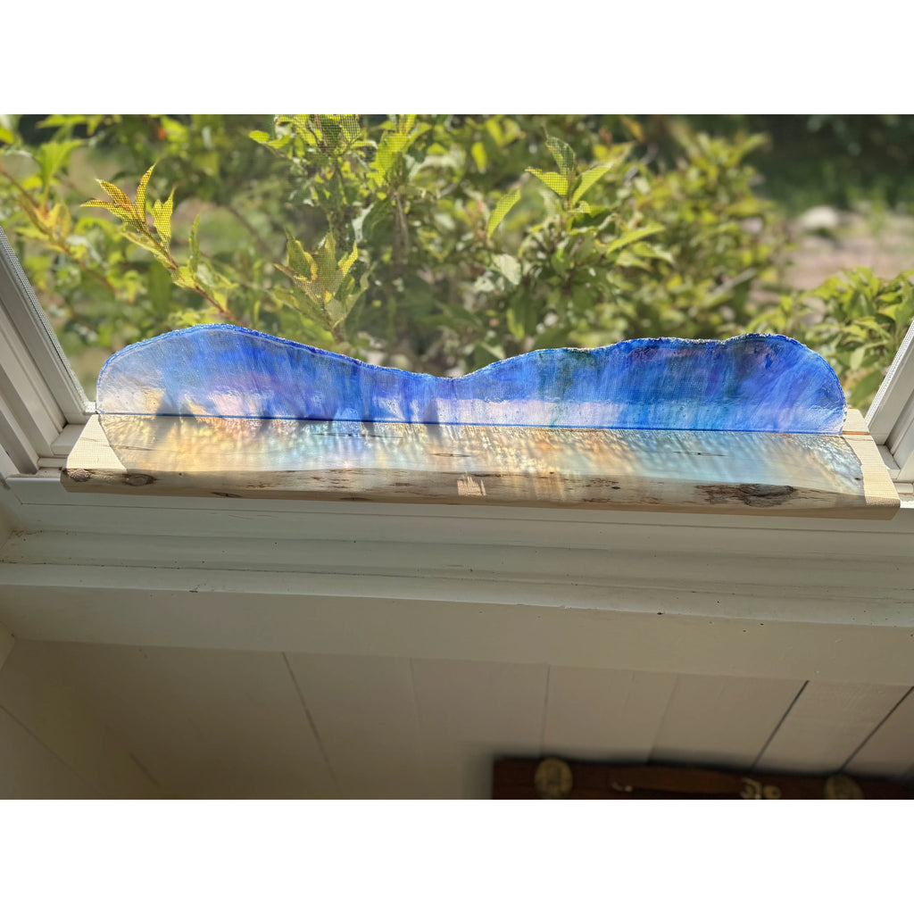 Iridescence on Ambrosia Maple