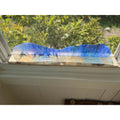 Iridescence on Ambrosia Maple