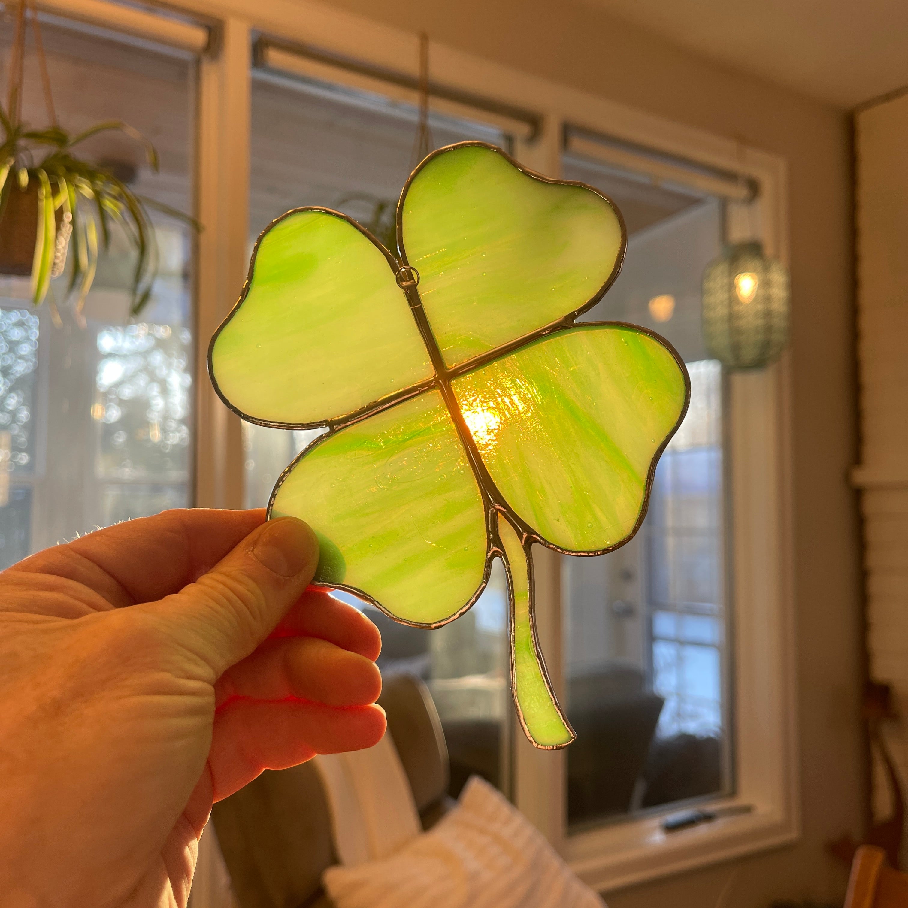 Shamrock-3