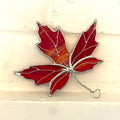 Maple Leaf-3