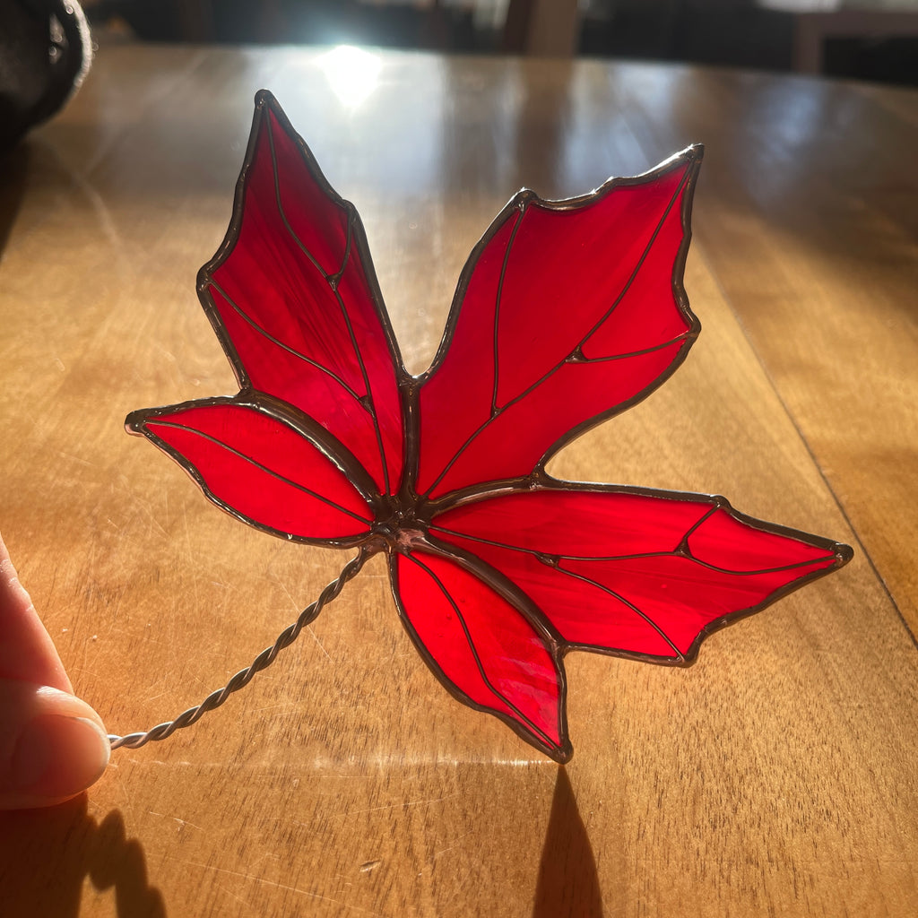 Maple Leaf-4