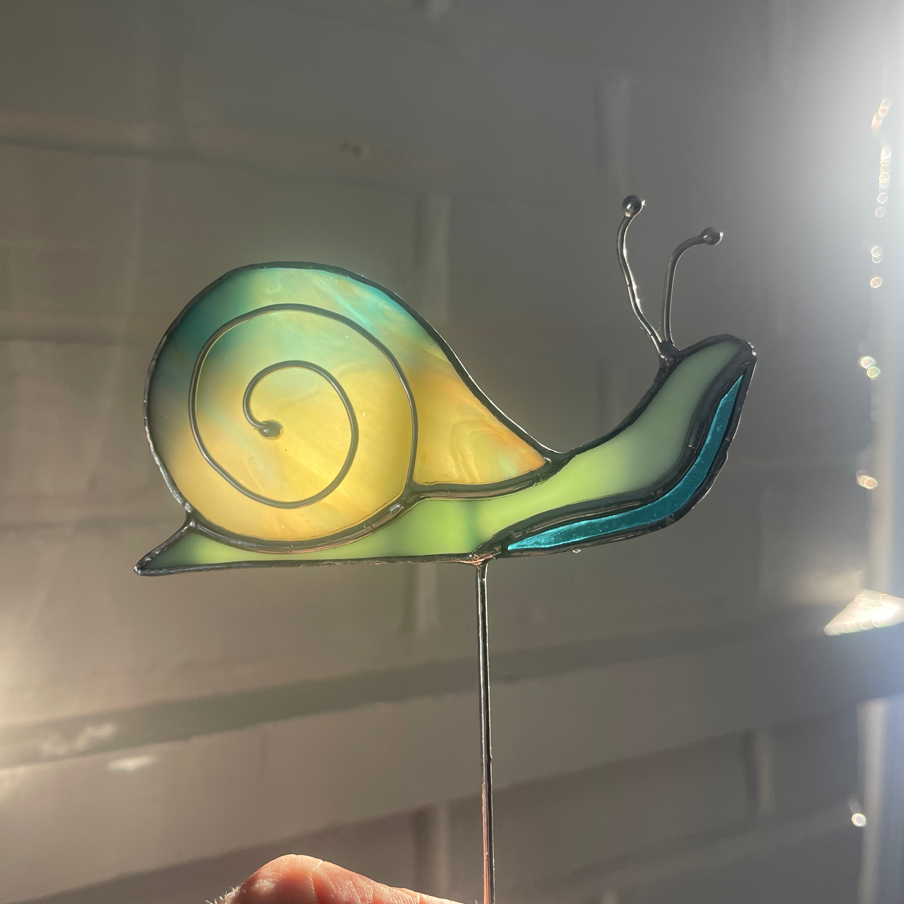 Snail-32