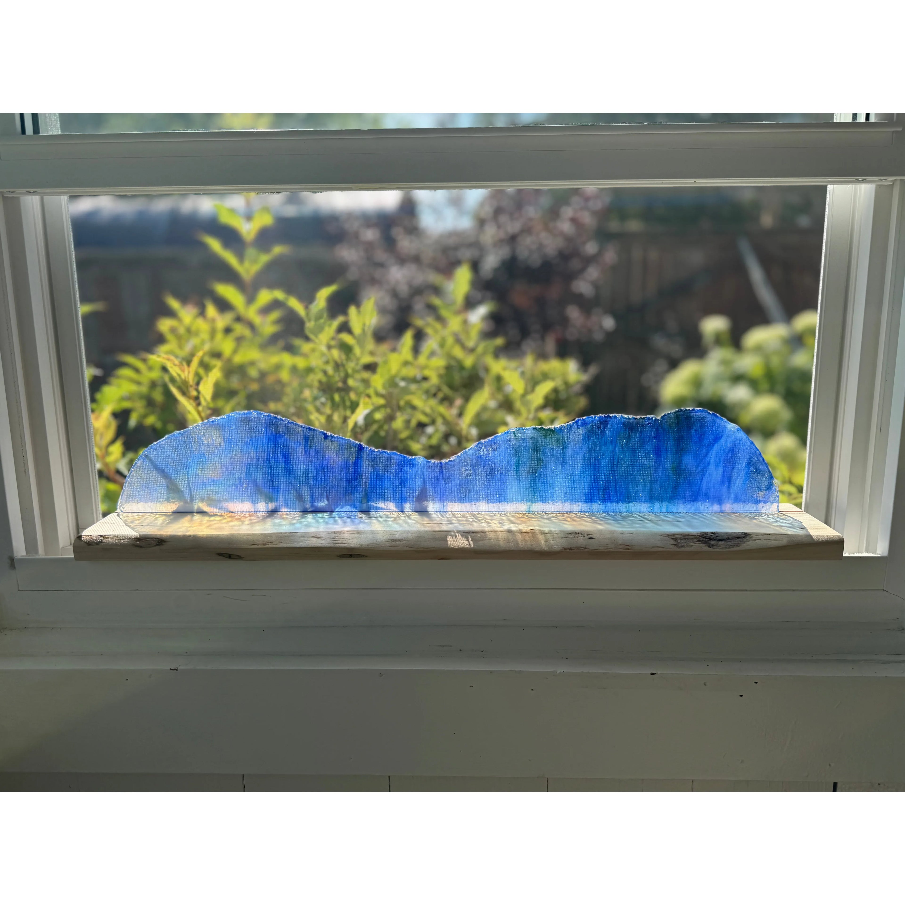 Iridescence on Ambrosia Maple