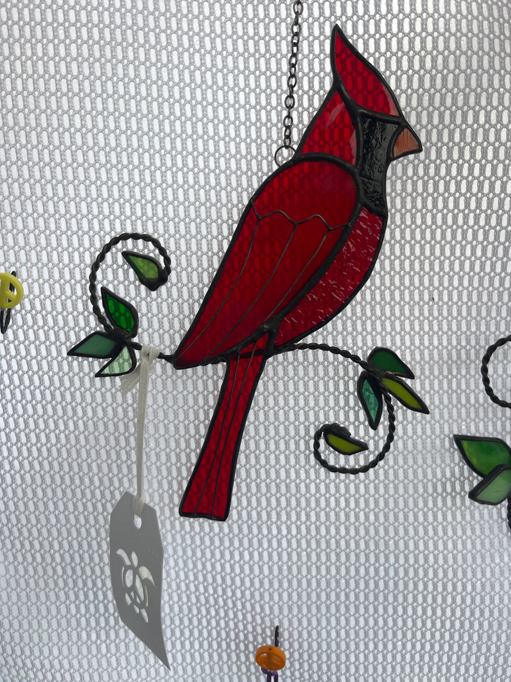 Cardinal-31