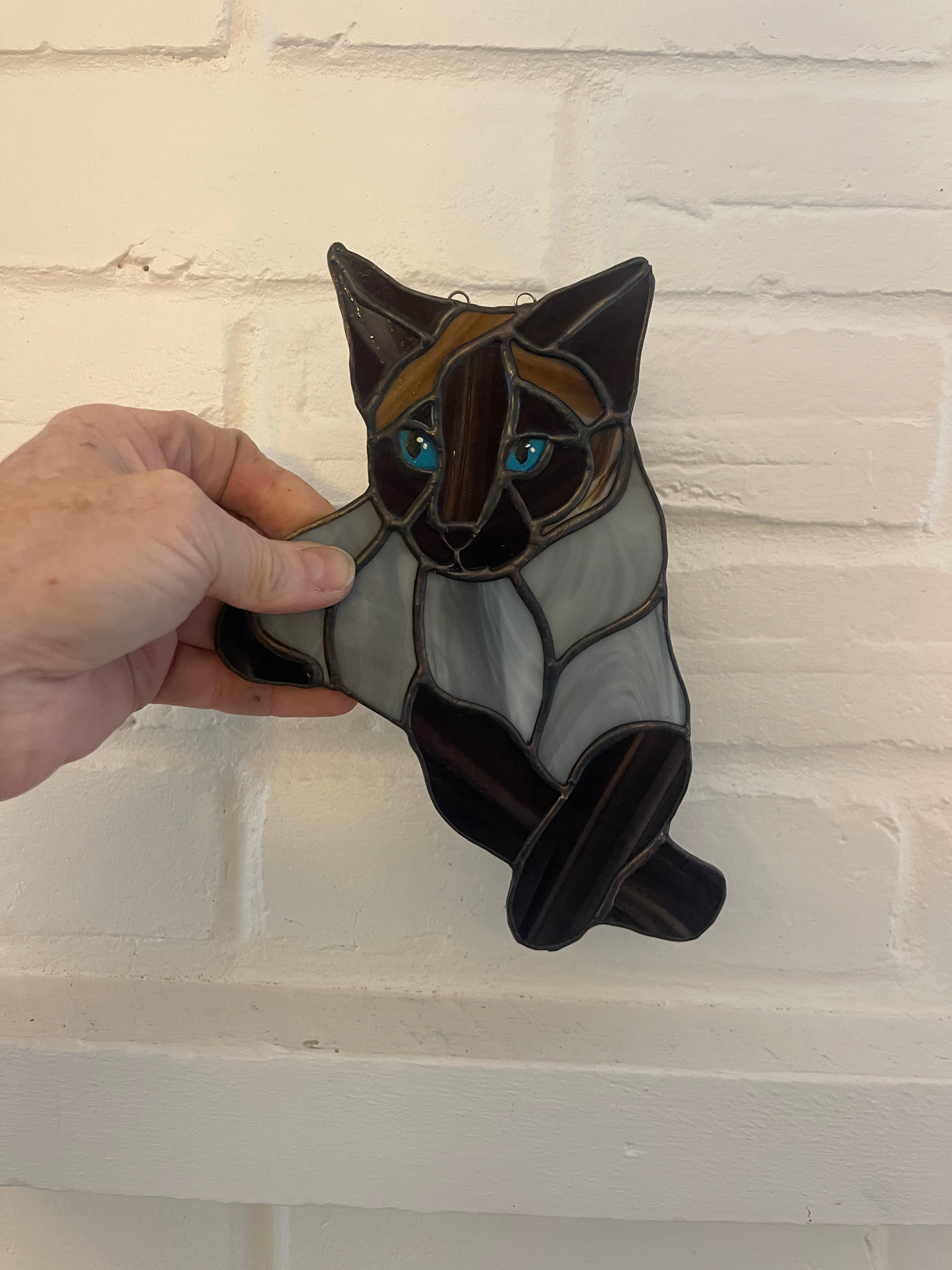 Custom Cat-1