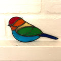 Chubby Bird-3