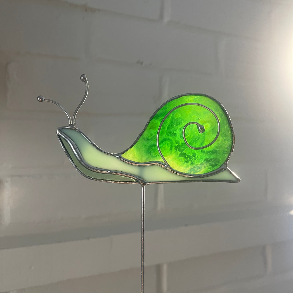 Snail-26
