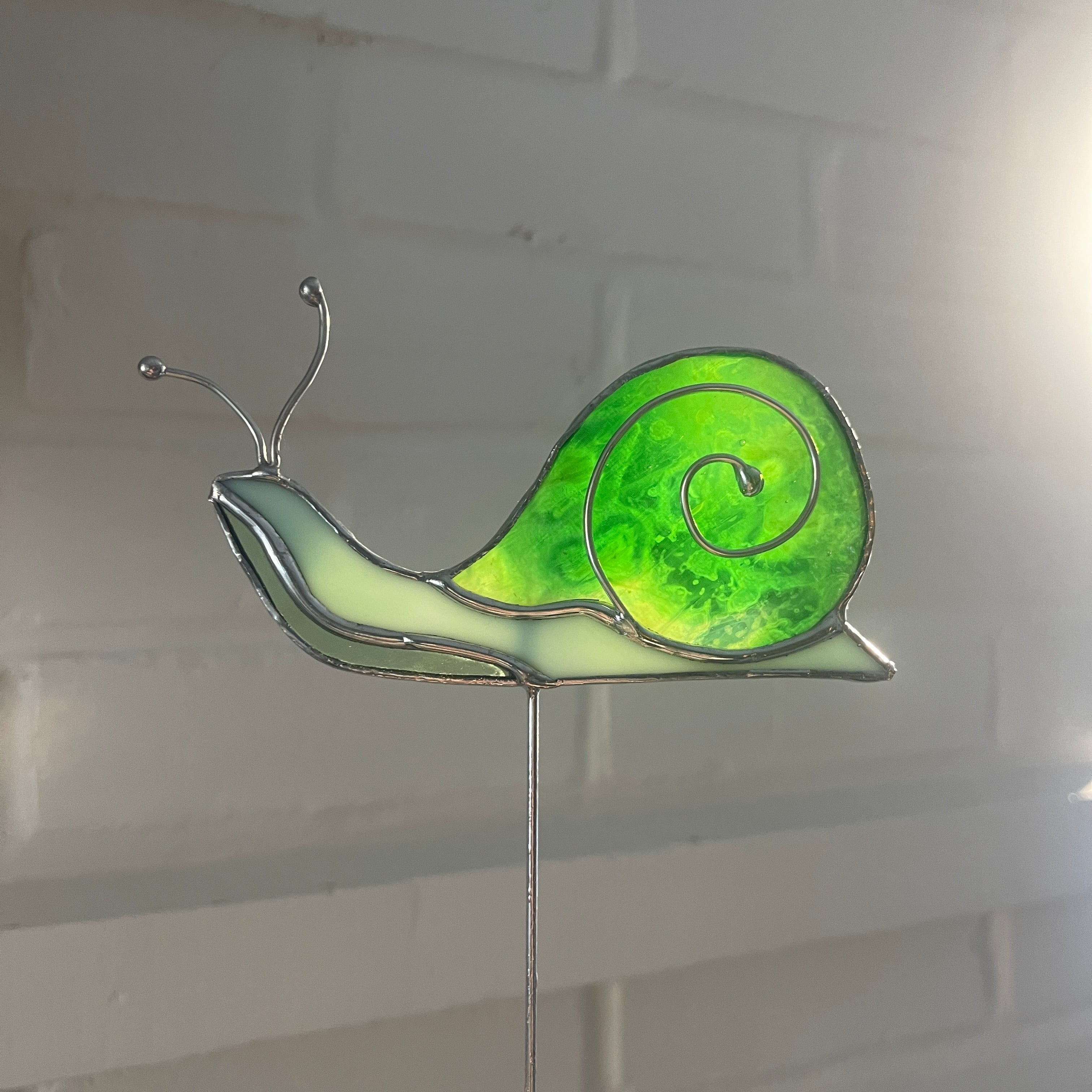 Snail-26