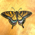 Eastern Tiger Swallowtail-2
