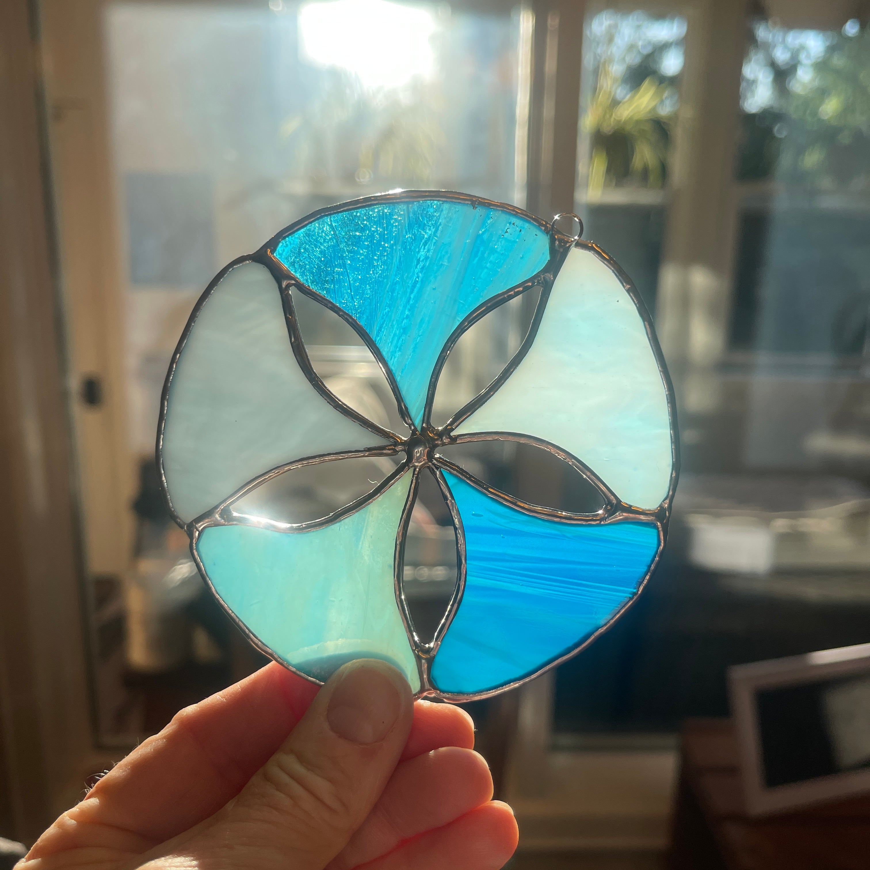 Sand Dollar-2