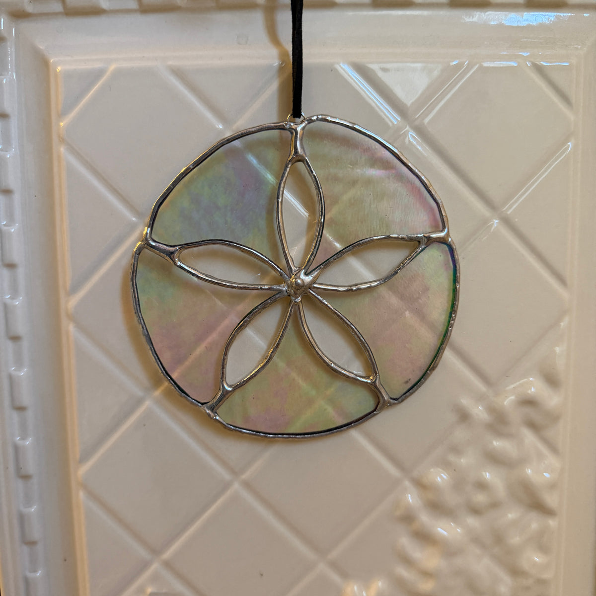 Sand Dollar-19