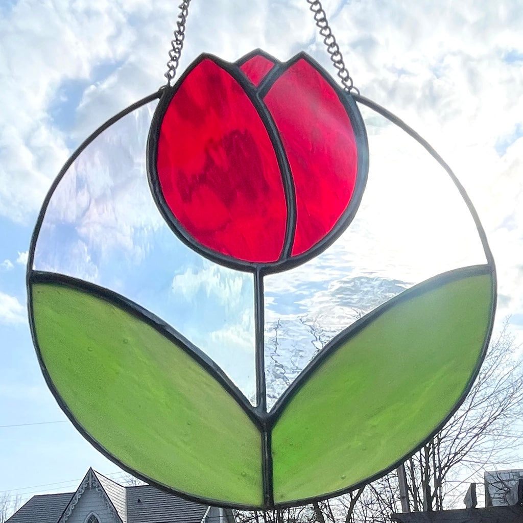 Tulip-6