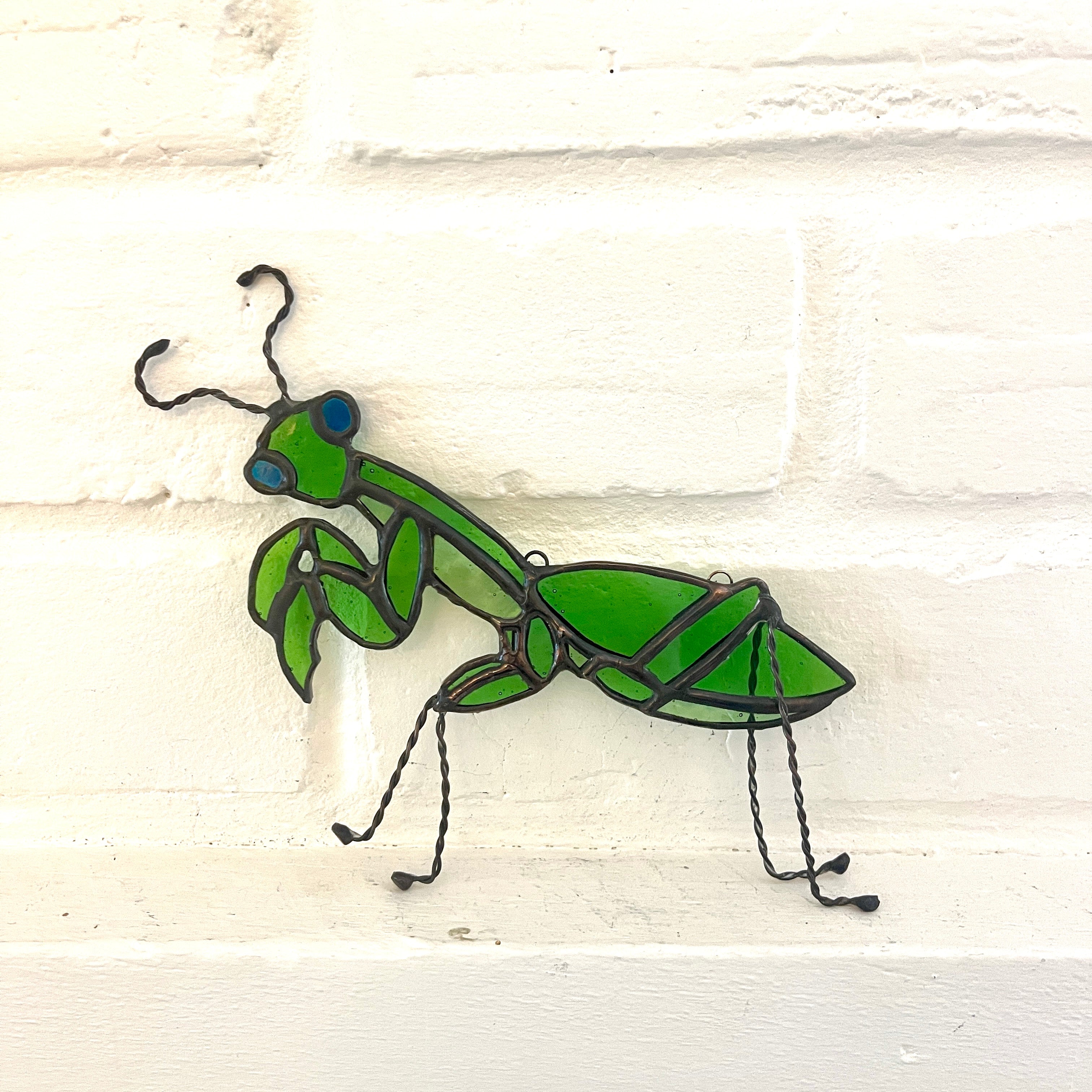 Preying mantis-1