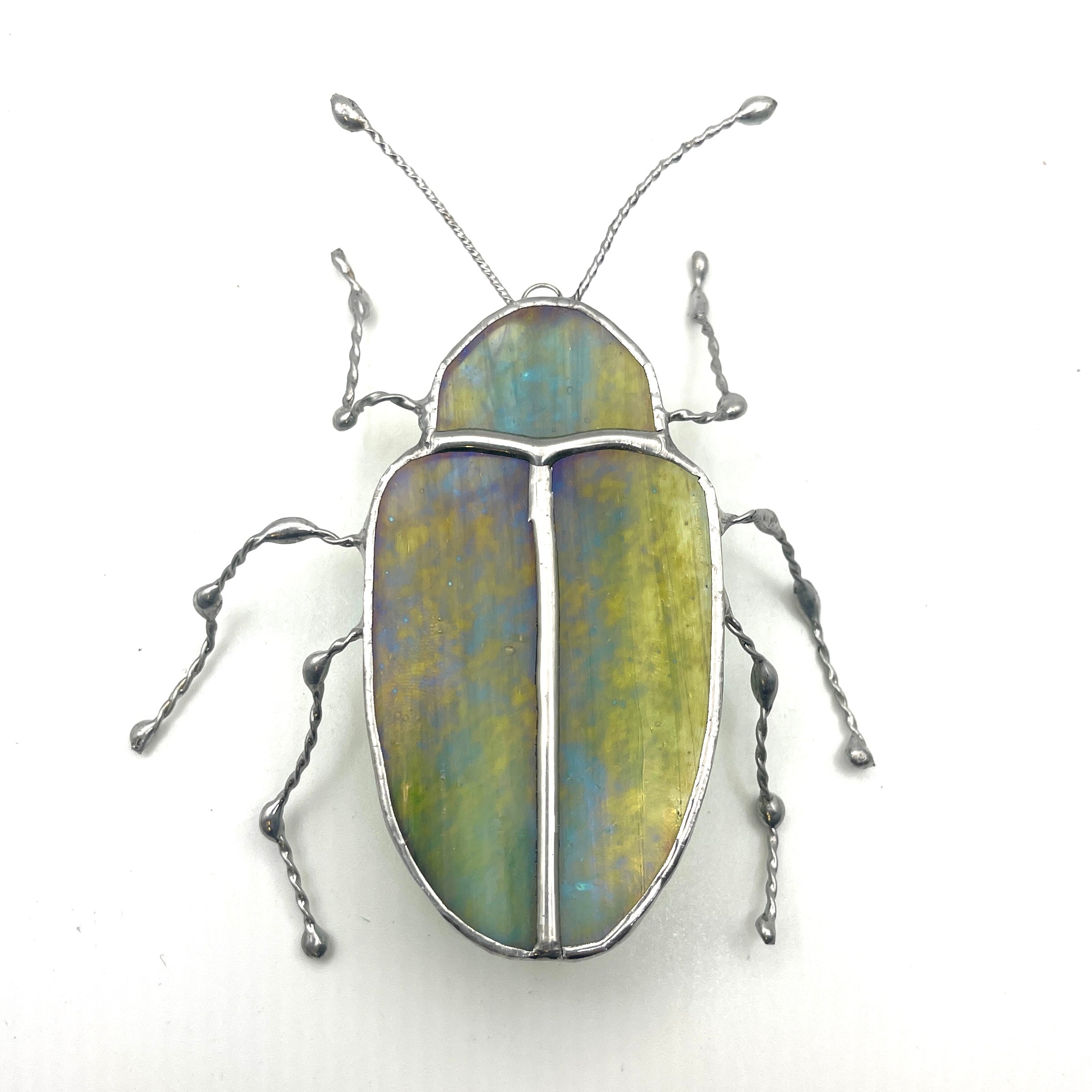 Dogbane Beetle-2