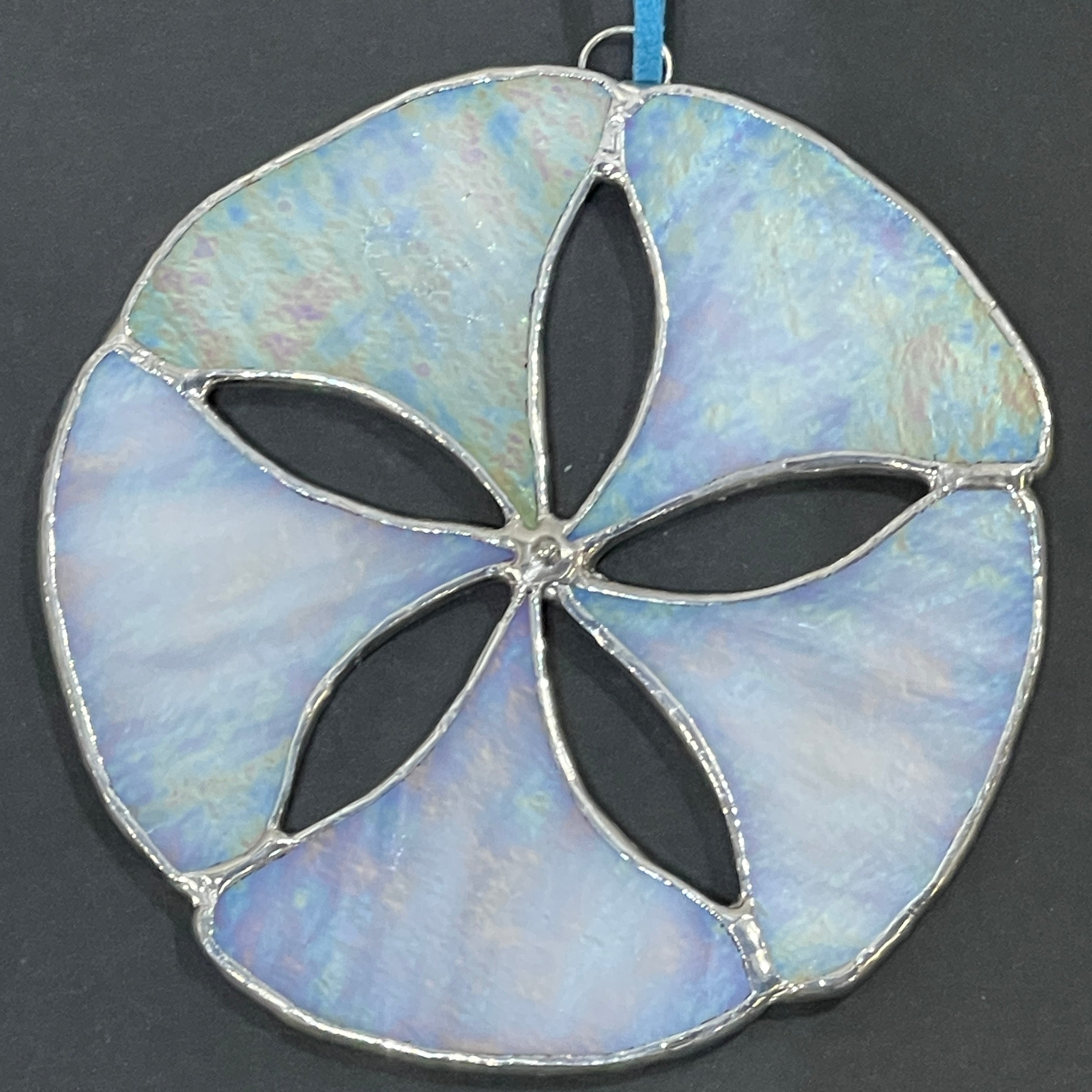 Sand Dollar-5