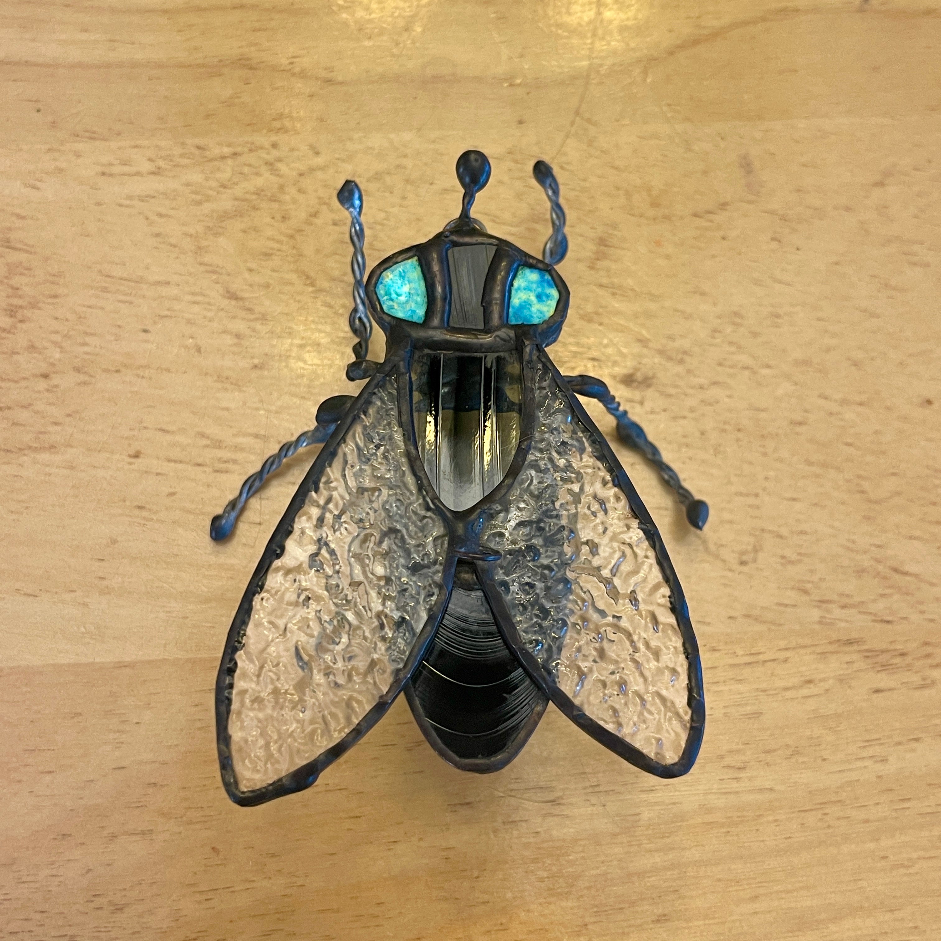 House Fly-1