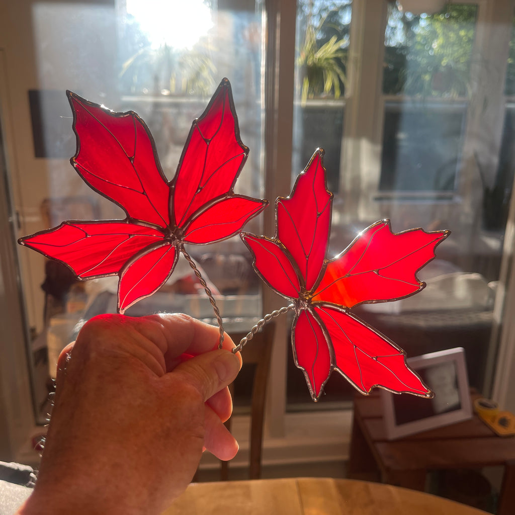Maple Leaf-3