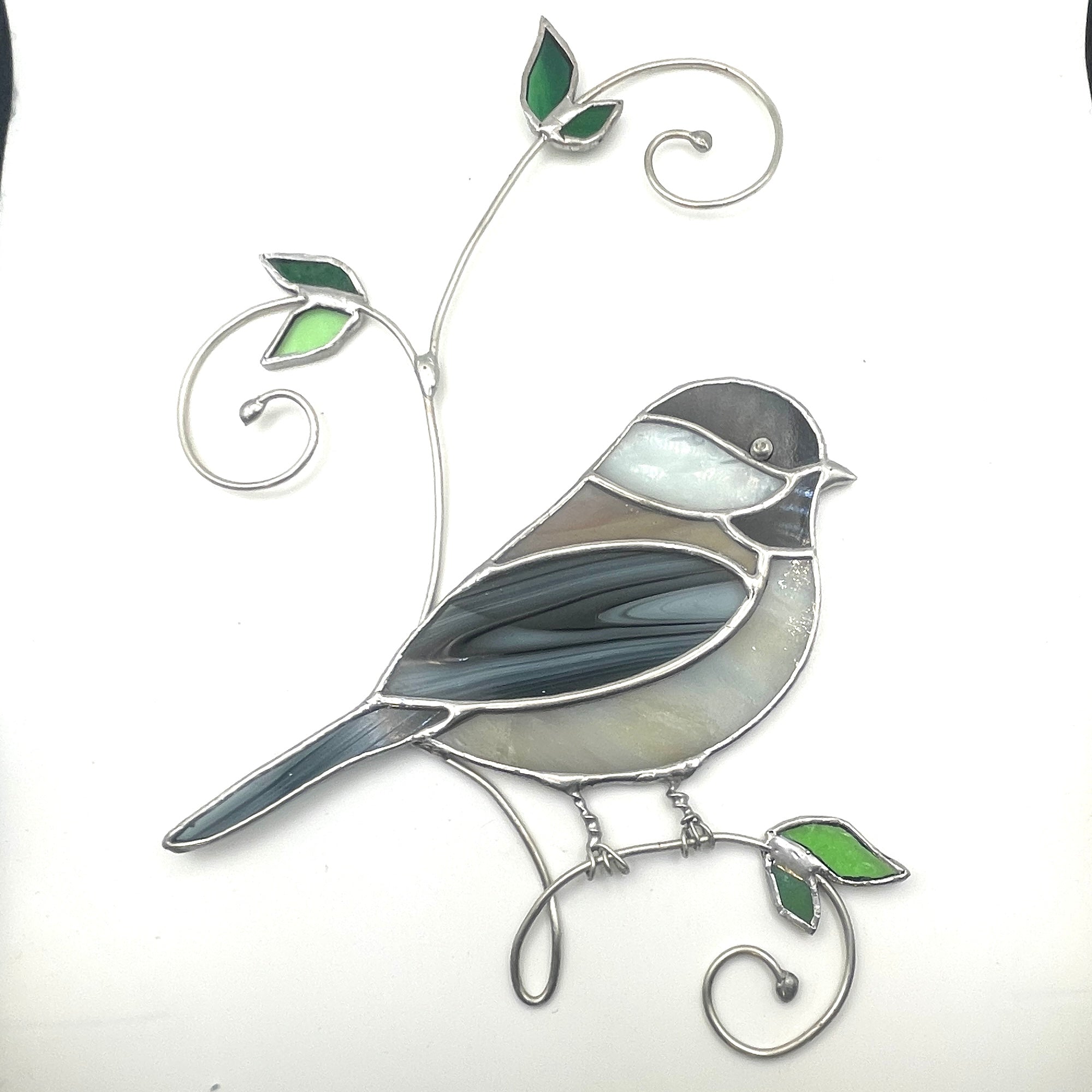Chickadee-3