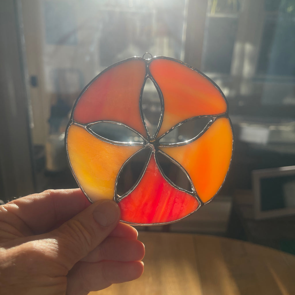 Sand Dollar-3