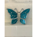 Butterfly-19