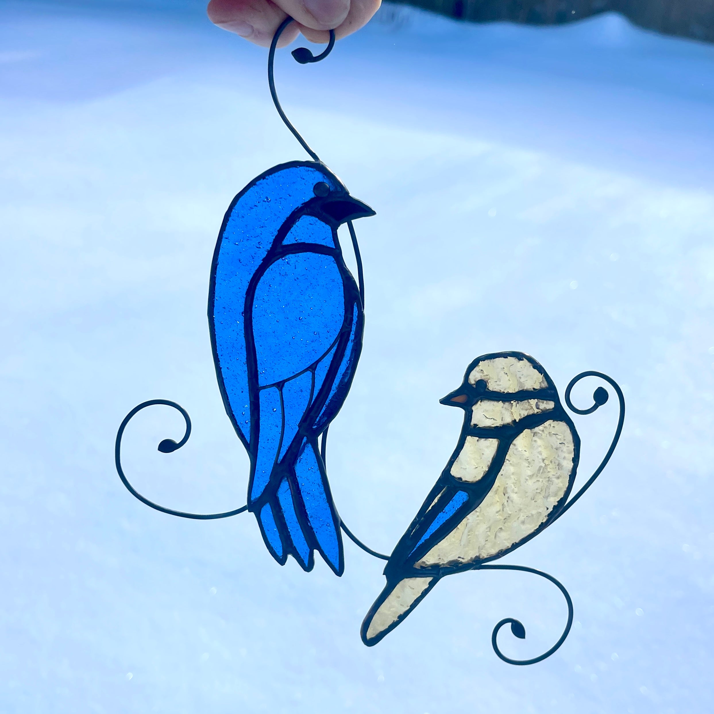 Indigo Bunting-1