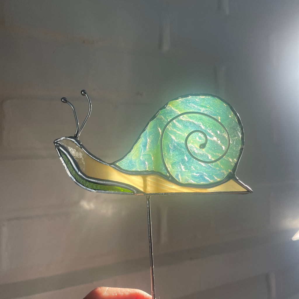 Snail-27