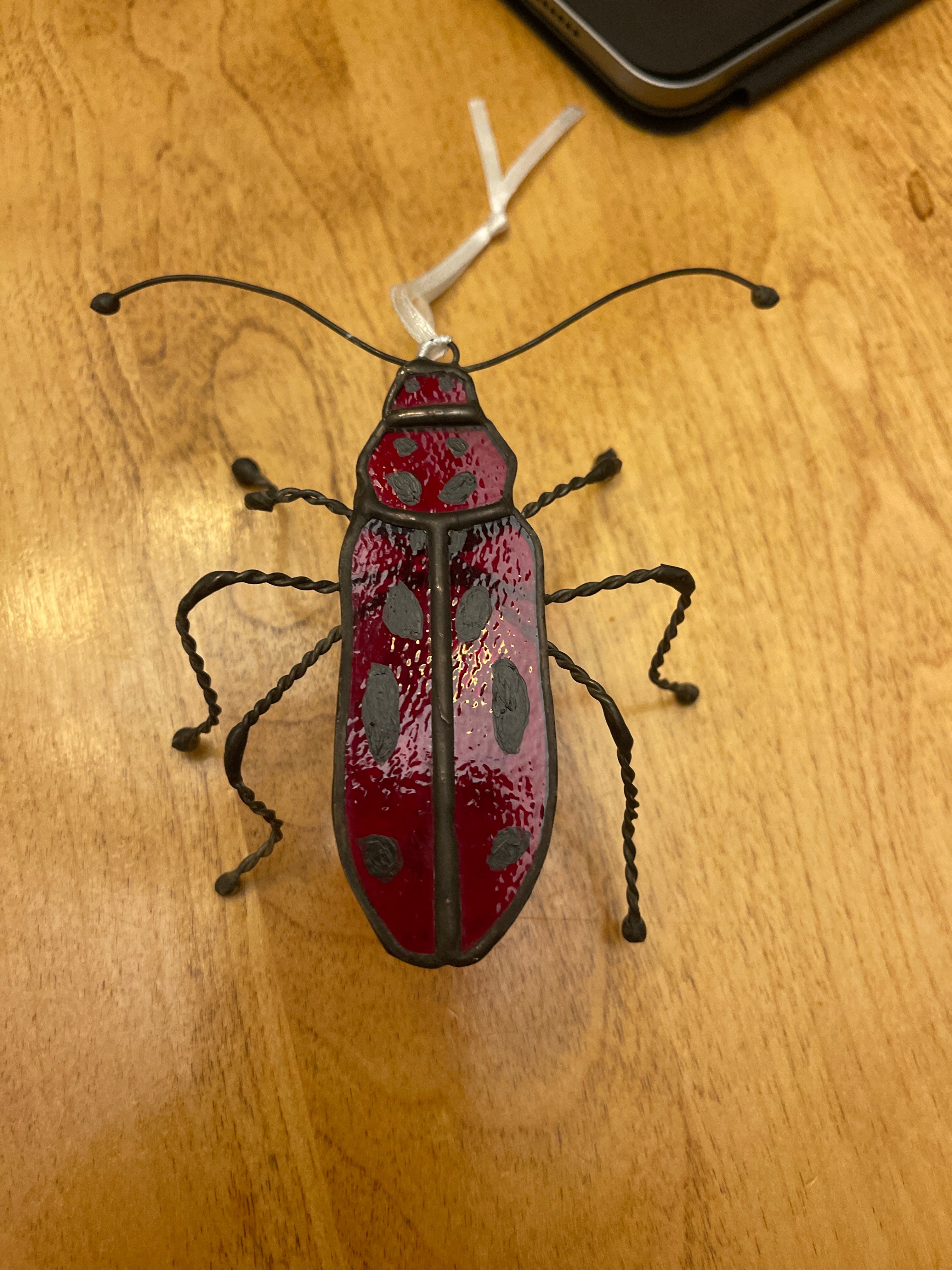 Milkweed Beetle-1
