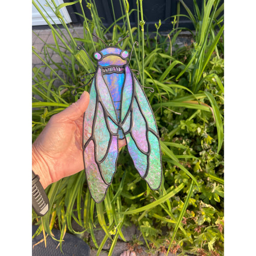 Cicada