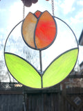 Tulip-12