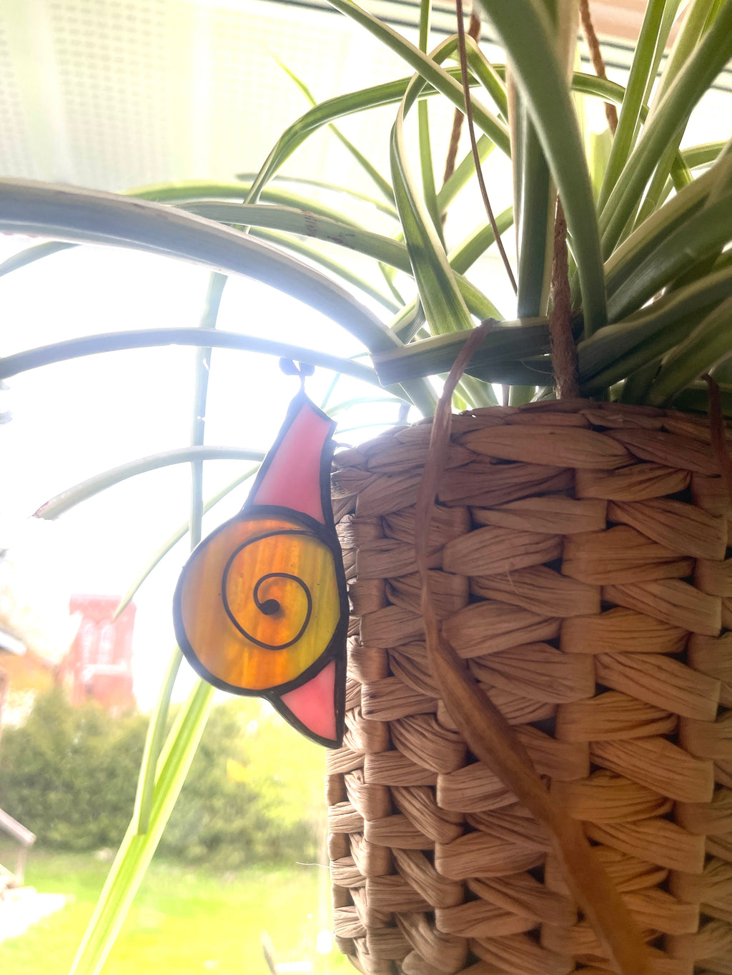 Snail-33