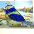 Chubby Bird-9