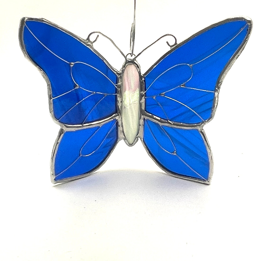 Butterfly-21
