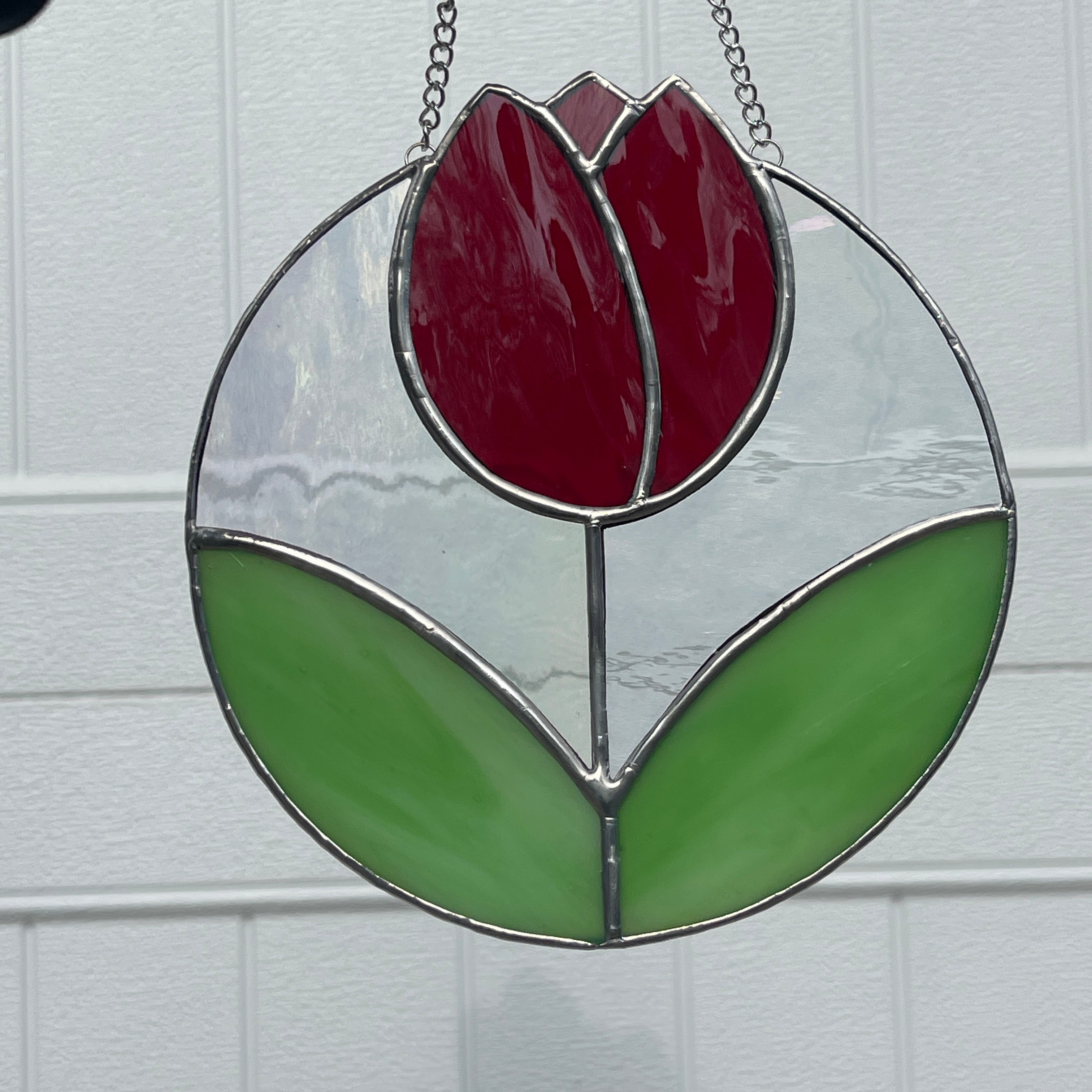 Tulip-6