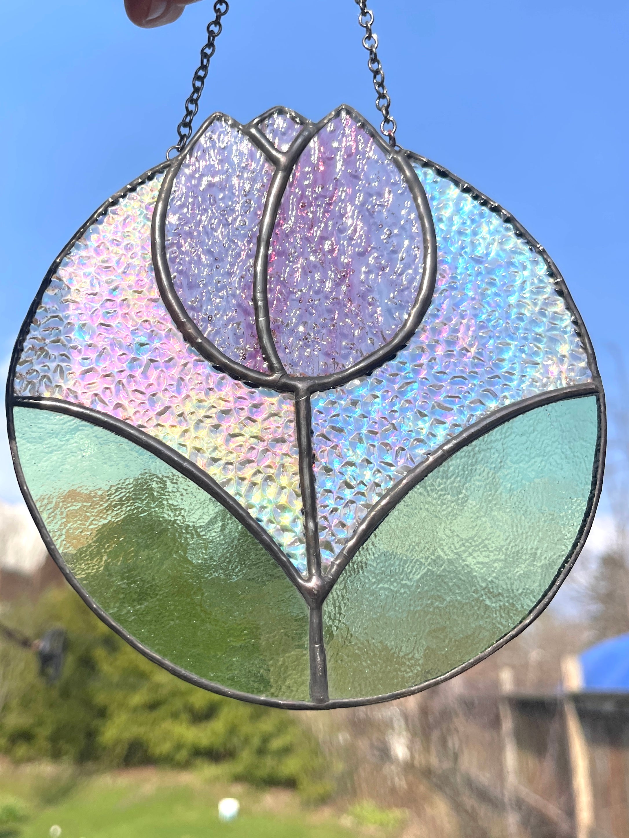 Tulip-8