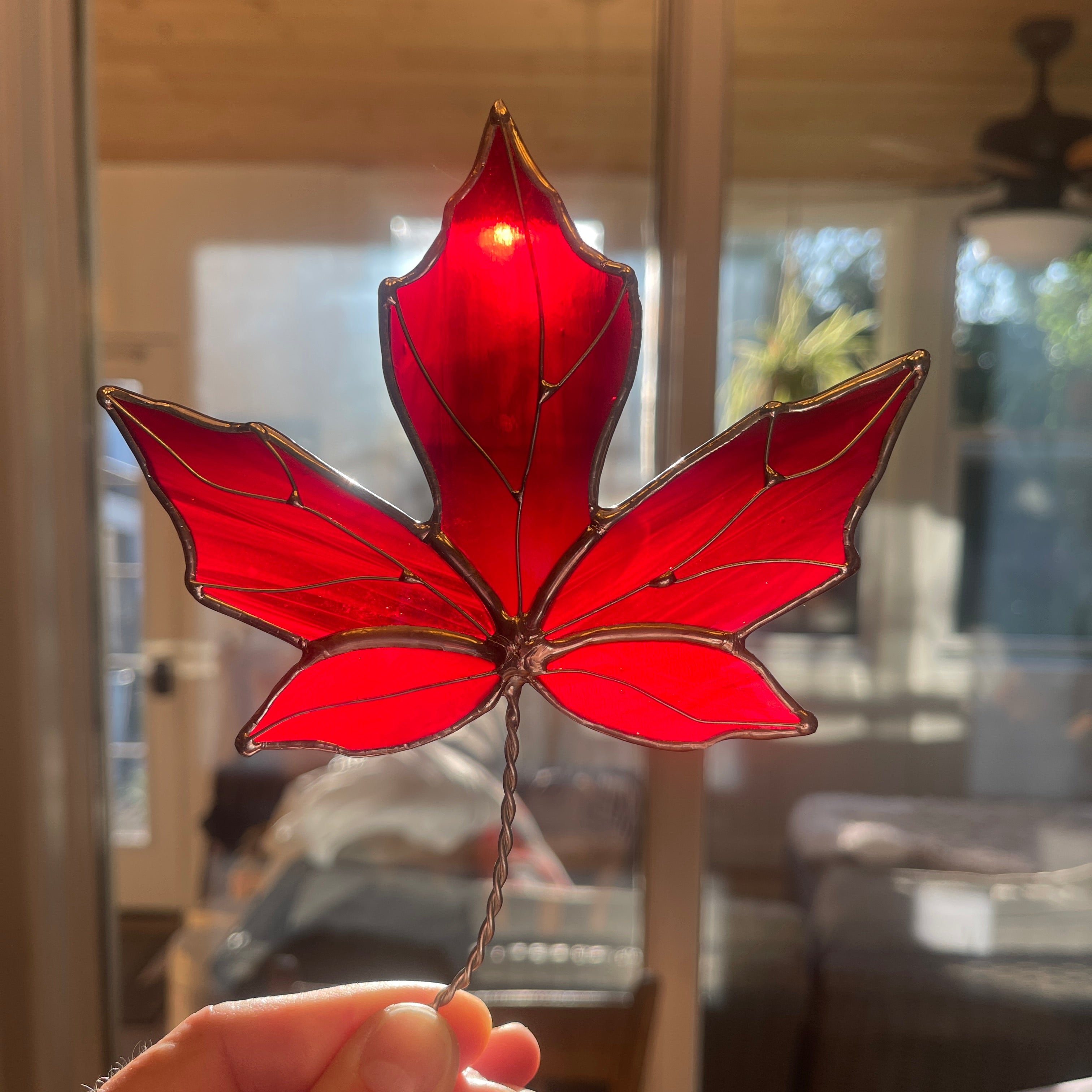 Maple Leaf-4