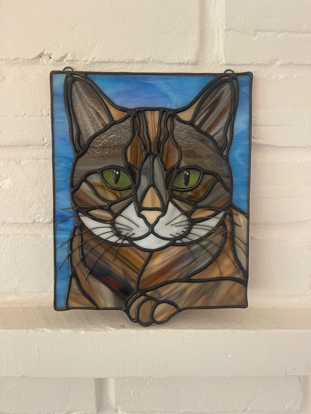 Cat Panel-1