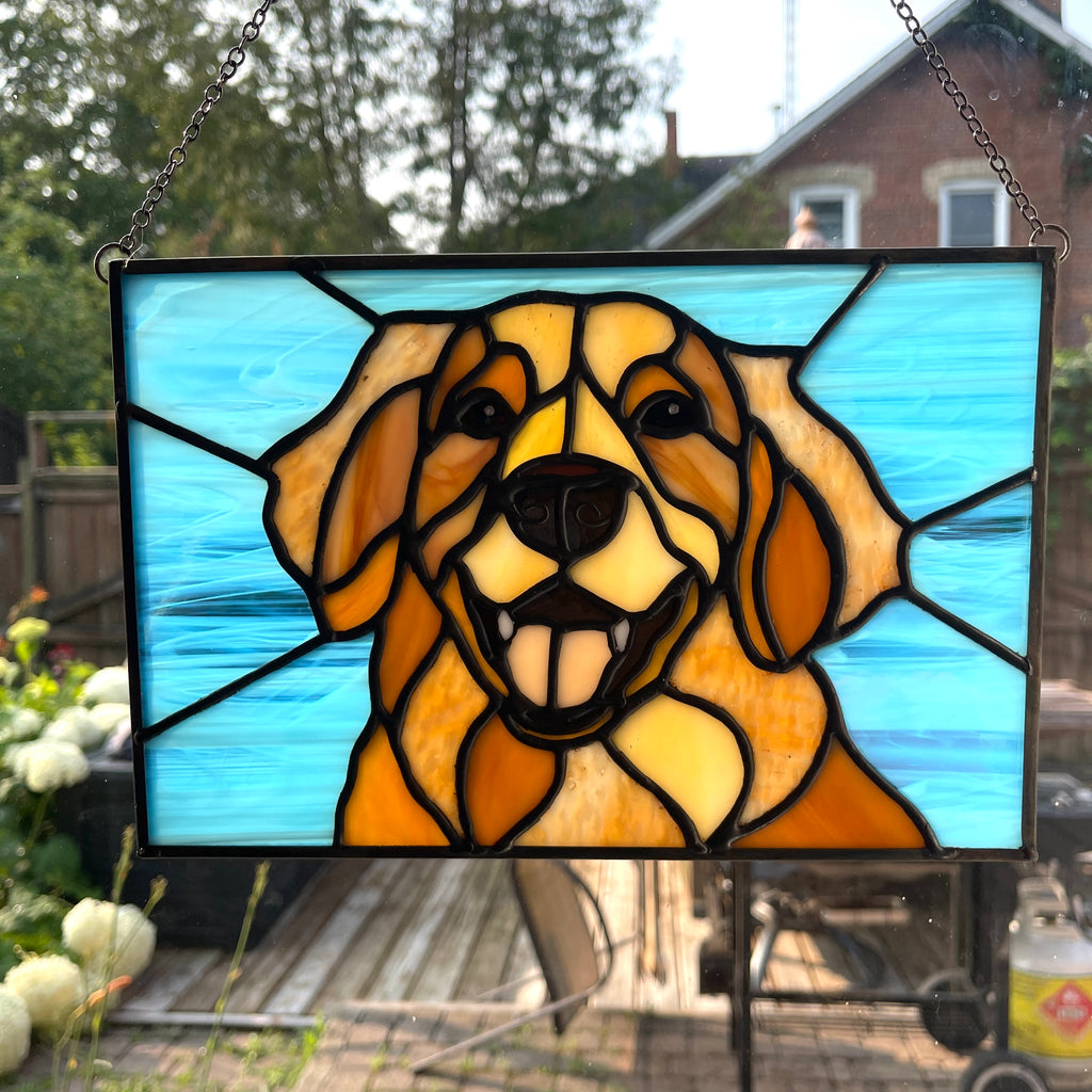 Golden Retriever-6