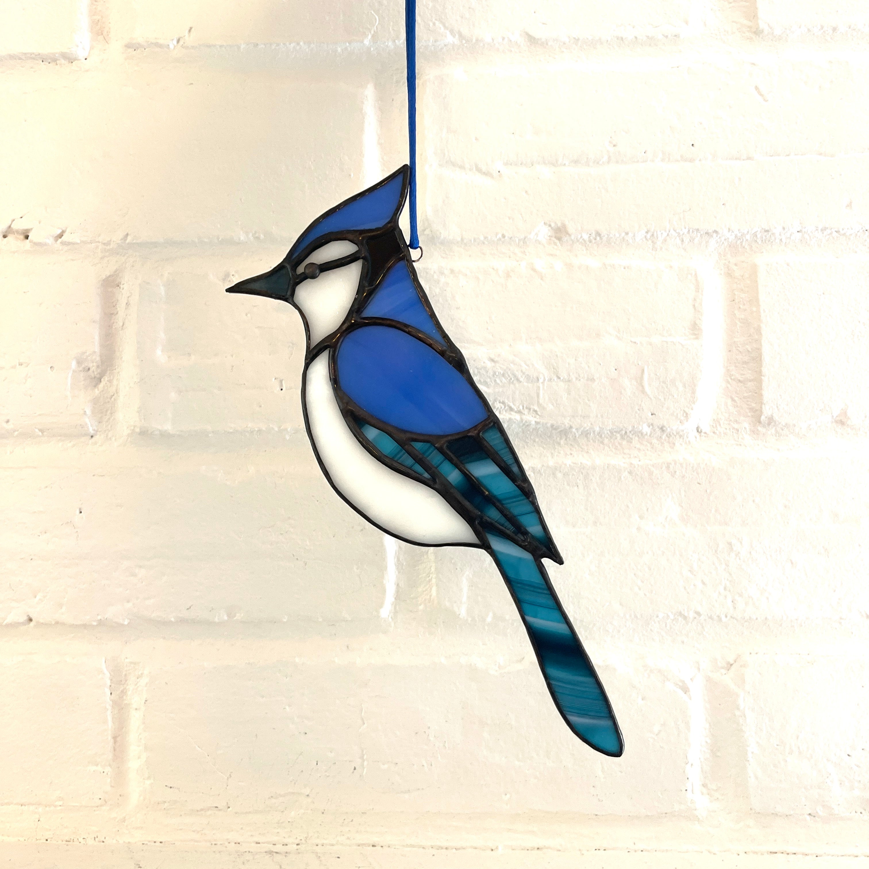 Blue Jay-8