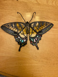 Eastern Tiger Swallowtail-1