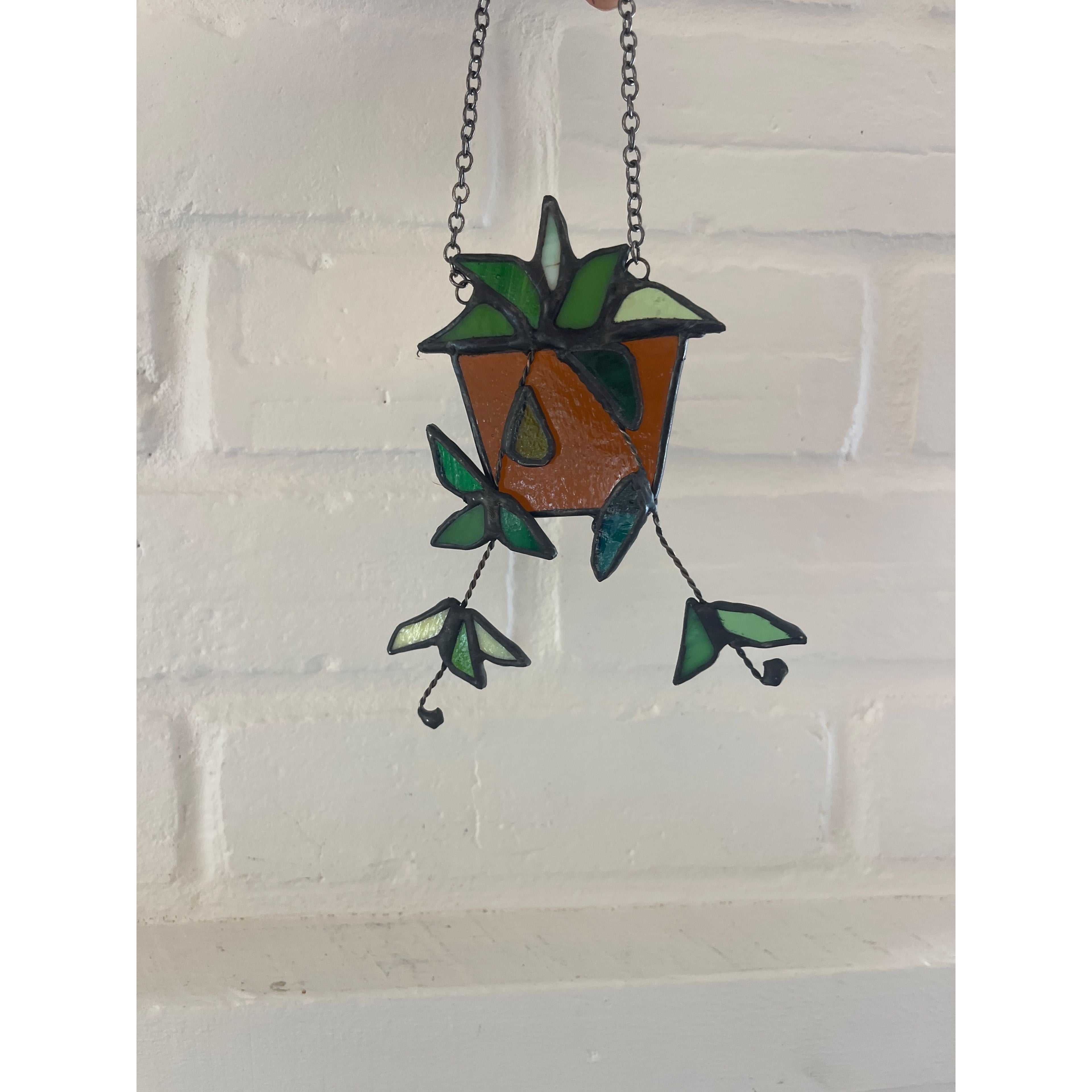 Hanging Plant-9