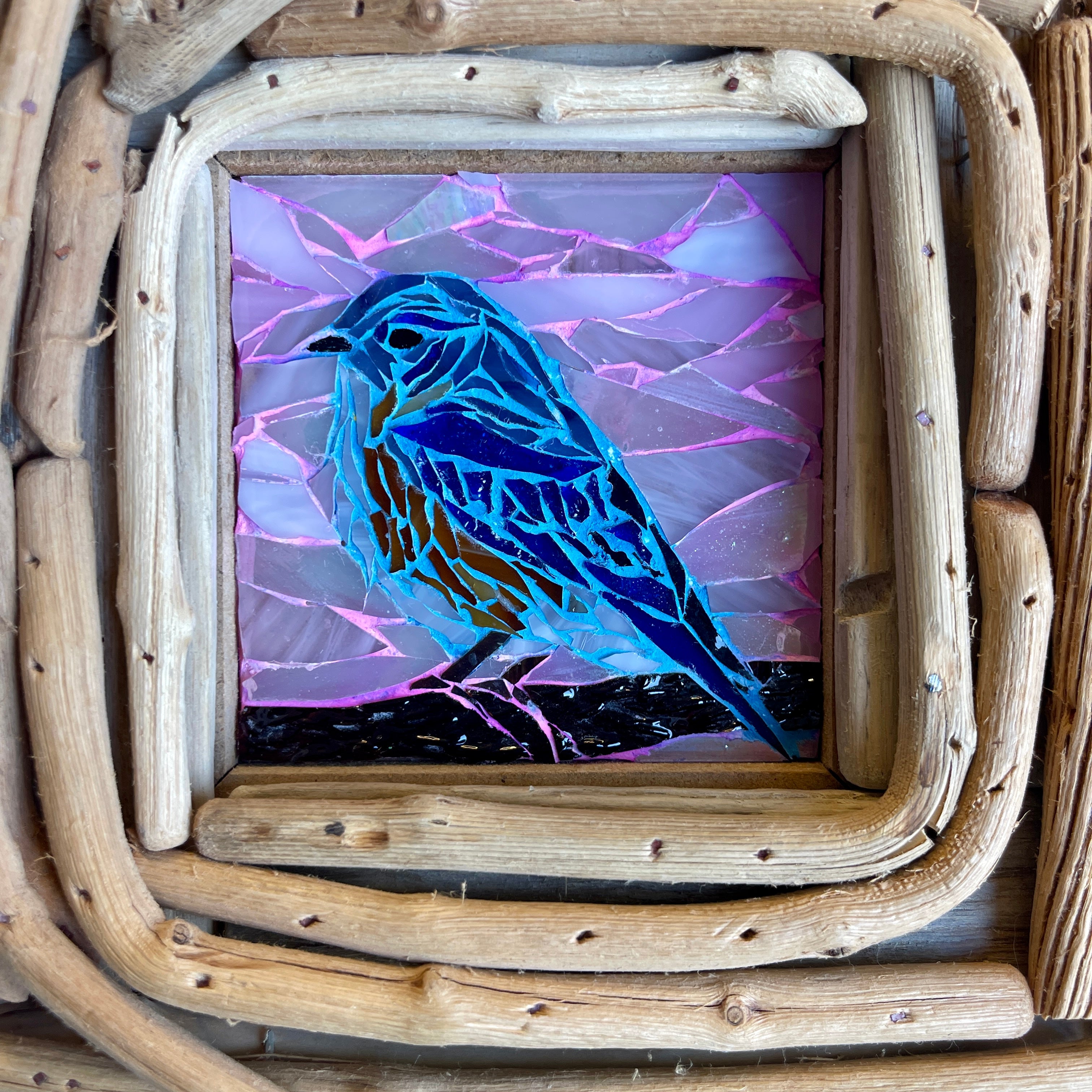Eastern Bluebird