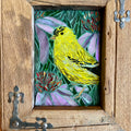 American Goldfinch