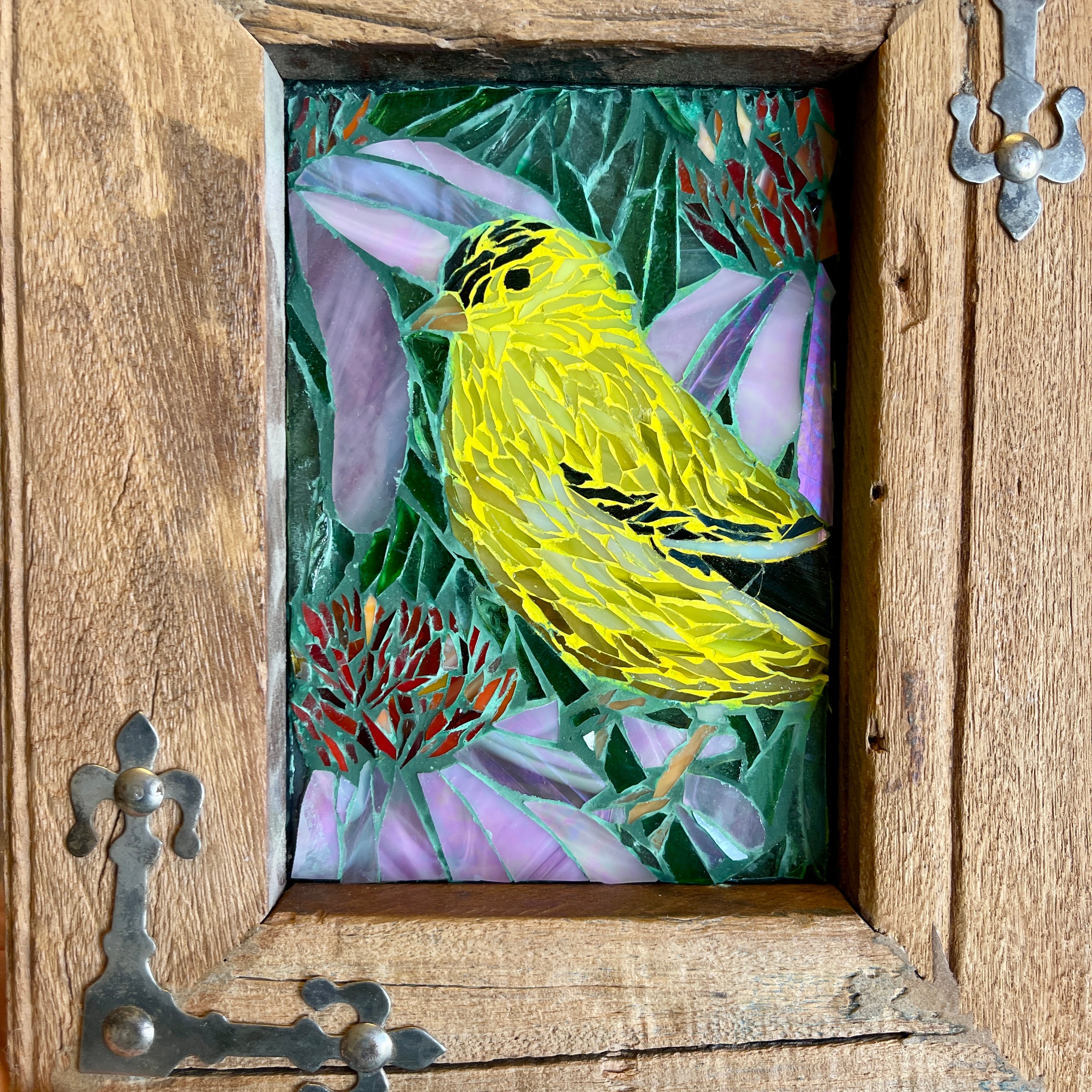 American Goldfinch