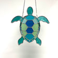 Turtle-6