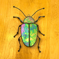 Dogbane Beetle-3