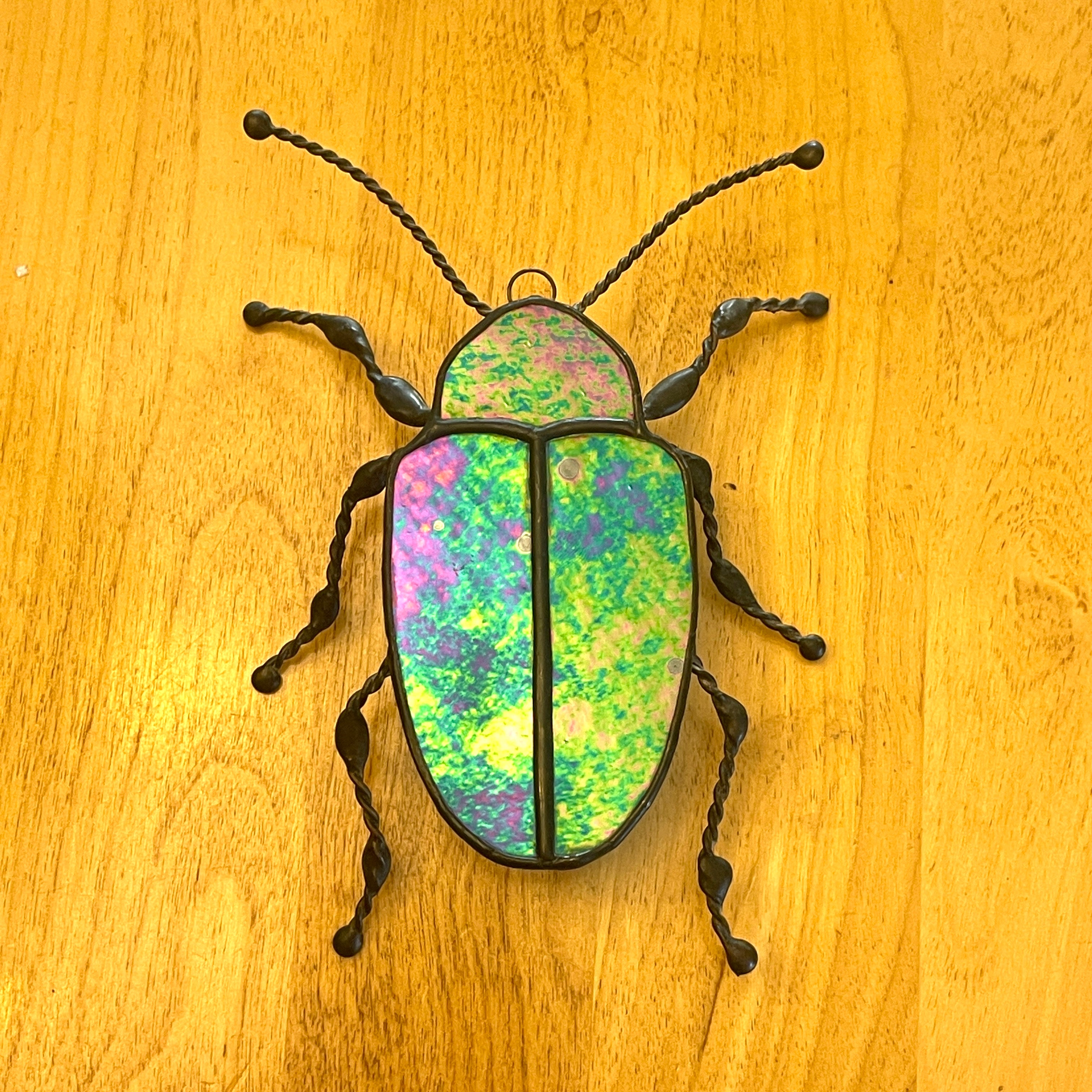 Dogbane Beetle-3