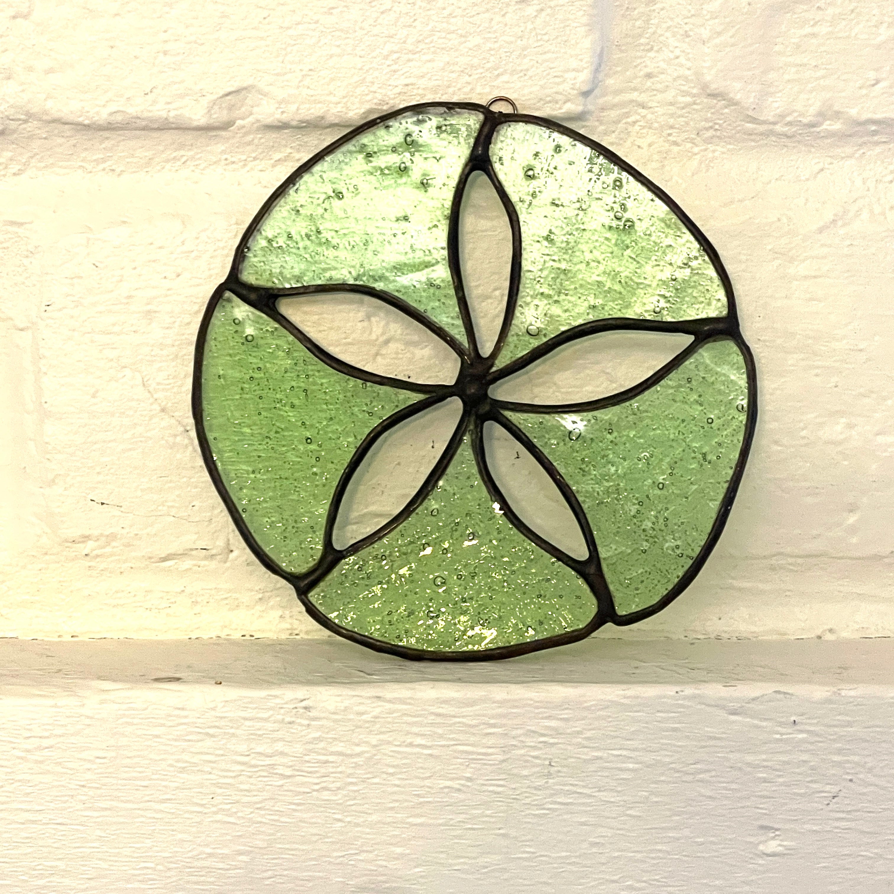 Sand Dollar-16