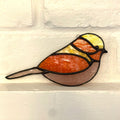 Chubby Bird-11