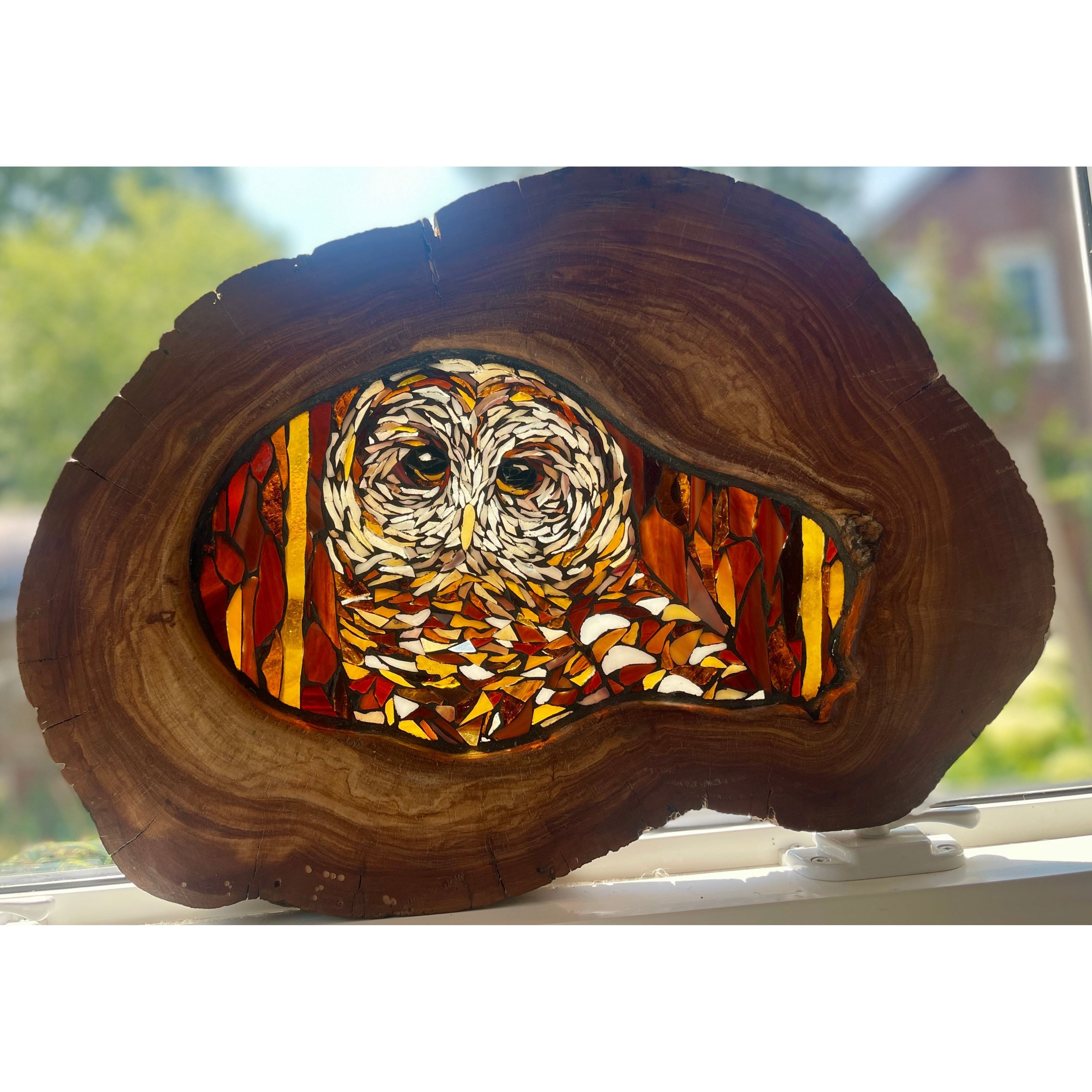 Owl in Apple Wood